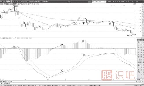 MACD指標(biāo)中的柱子是怎么看的？